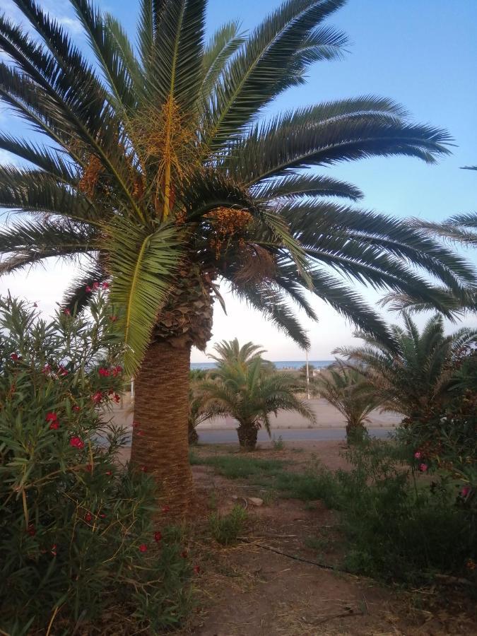 Maximus Apartament Sagunt